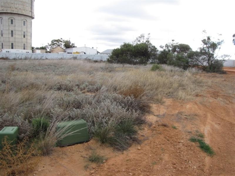 4 McBride Street, Barmera SA 5345