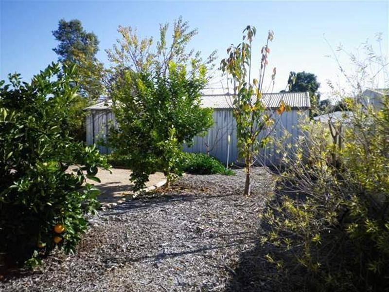 12 Aird Street, Moorook SA 5332