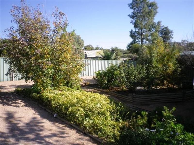 12 Aird Street, Moorook SA 5332