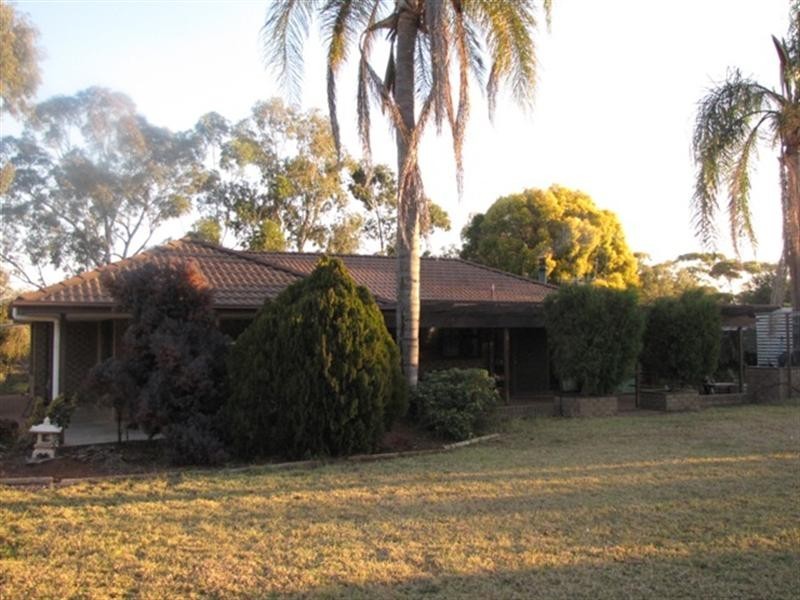 51 LH Maddern Road, Monash SA 5342