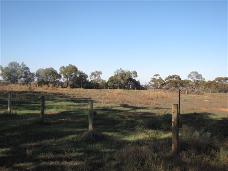 51 LH Maddern Road, Monash SA 5342