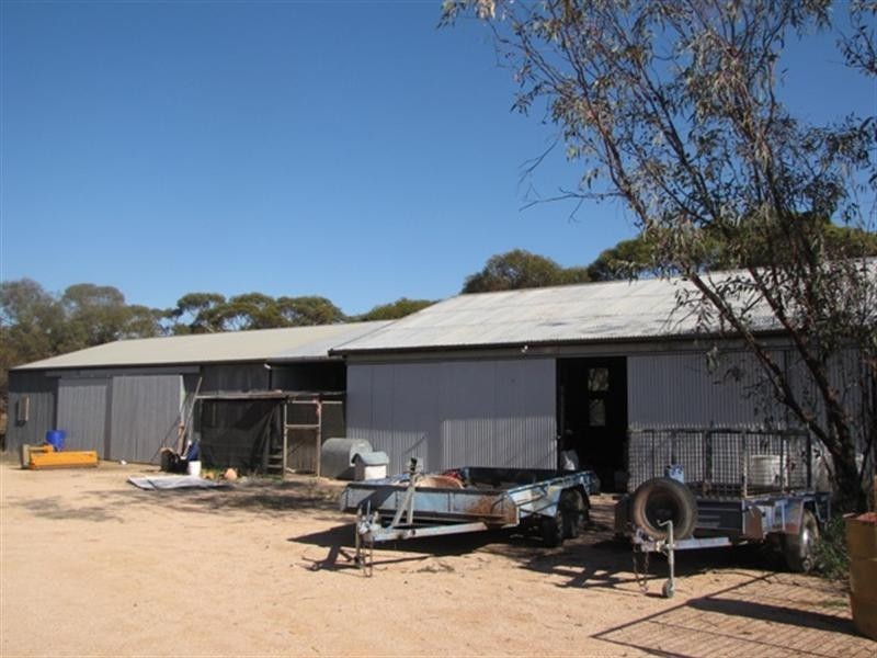 51 LH Maddern Road, Monash SA 5342