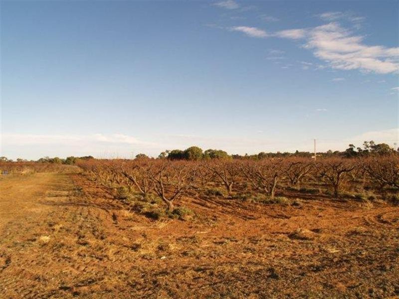 Sec 183 Cadell Valley Road, Cadell SA 5321