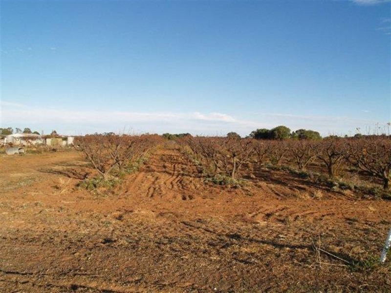 Sec 183 Cadell Valley Road, Cadell SA 5321