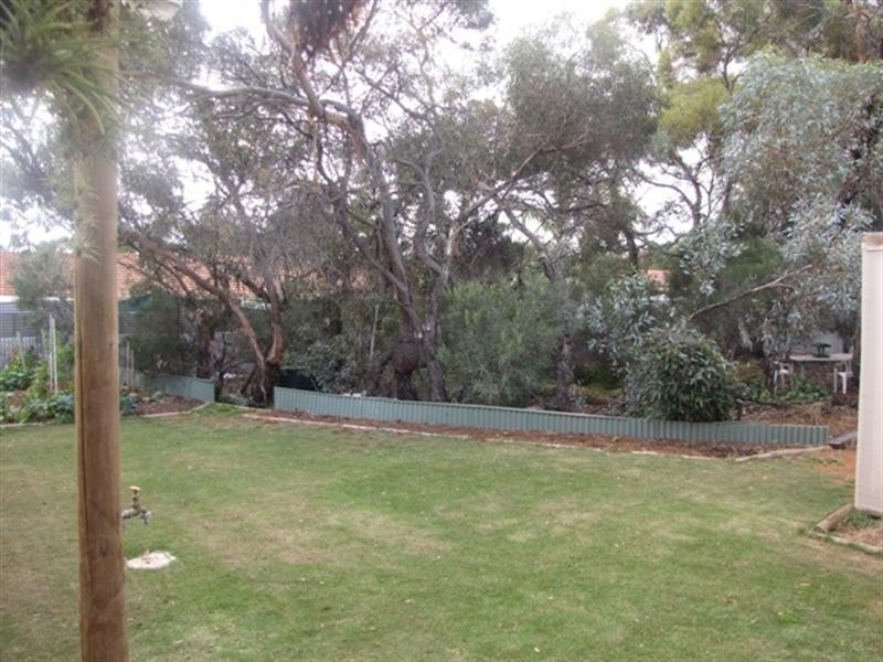 51 McGregor Street, Berri SA 5343