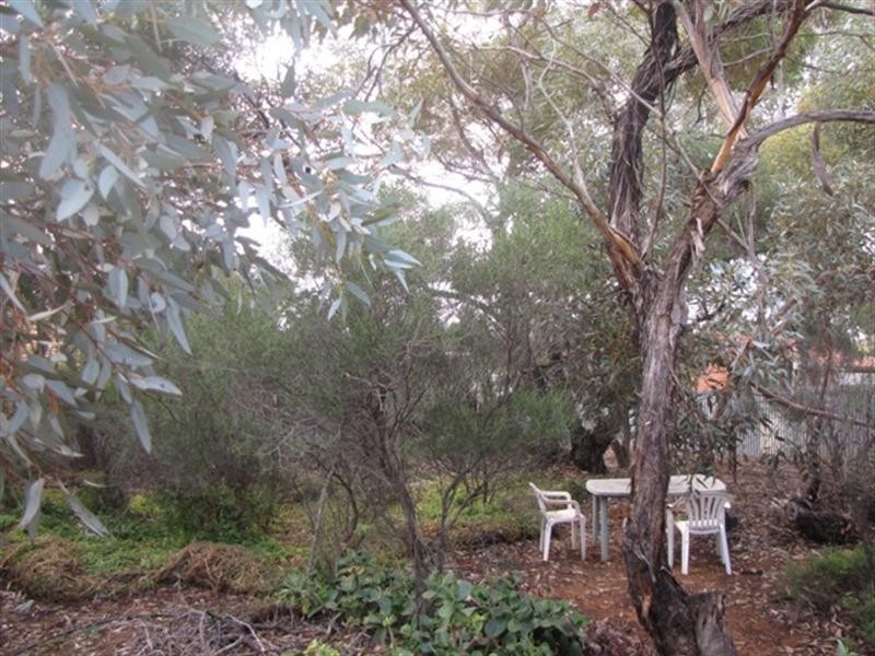 51 McGregor Street, Berri SA 5343