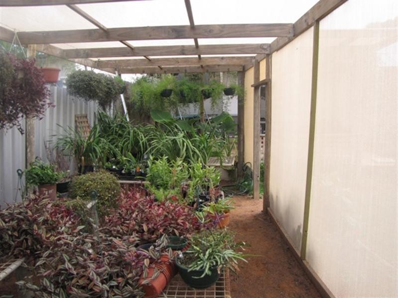 51 McGregor Street, Berri SA 5343