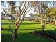 3151 Kingston Road, Loxton SA 5333