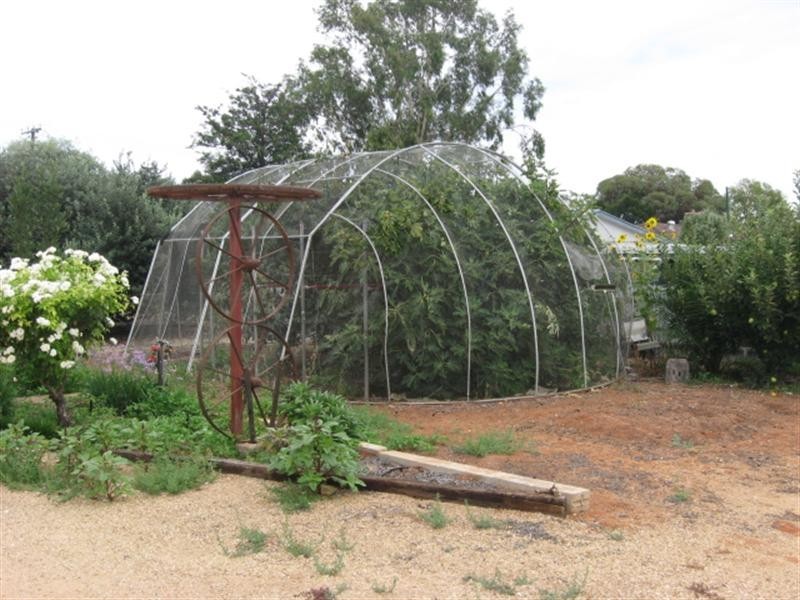 17 Colin Street, Loxton SA 5333