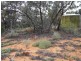 Lot 494 Jury Road, Monash SA 5342