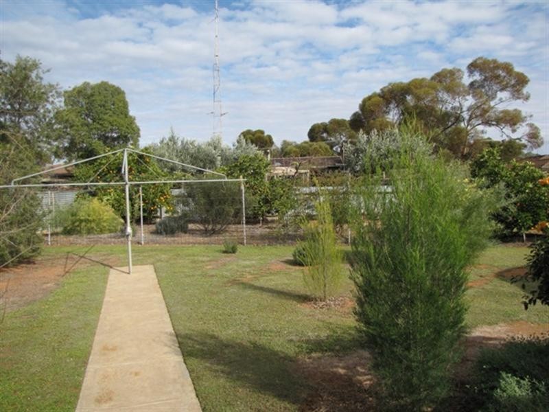 13 Jellett Road, Berri SA 5343