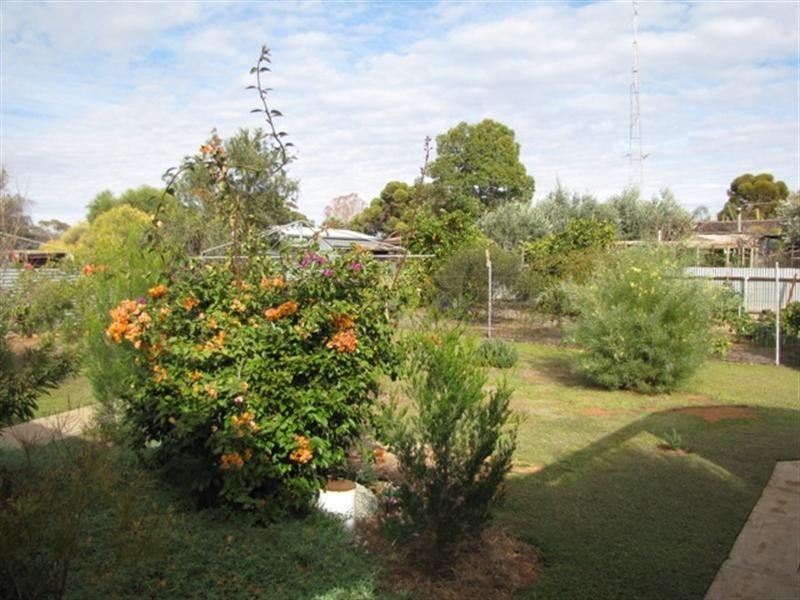 13 Jellett Road, Berri SA 5343