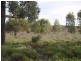3919 Murraylands Road, Blanchetown SA 5357