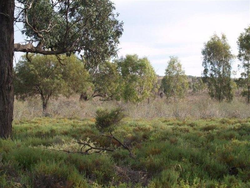 3919 Murraylands Road, Blanchetown SA 5357
