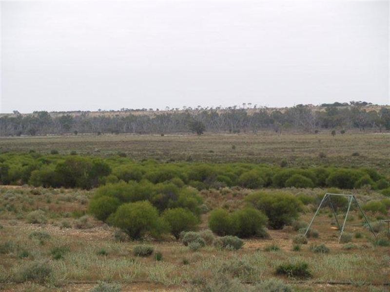 3919 Murraylands Road, Blanchetown SA 5357