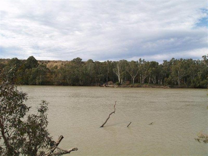 3919 Murraylands Road, Blanchetown SA 5357