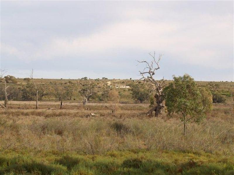 3919 Murraylands Road, Blanchetown SA 5357