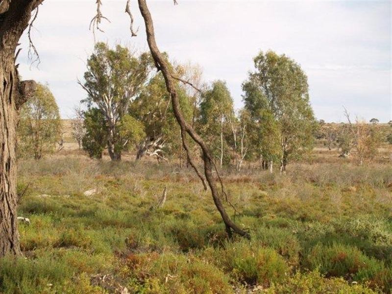 3919 Murraylands Road, Blanchetown SA 5357
