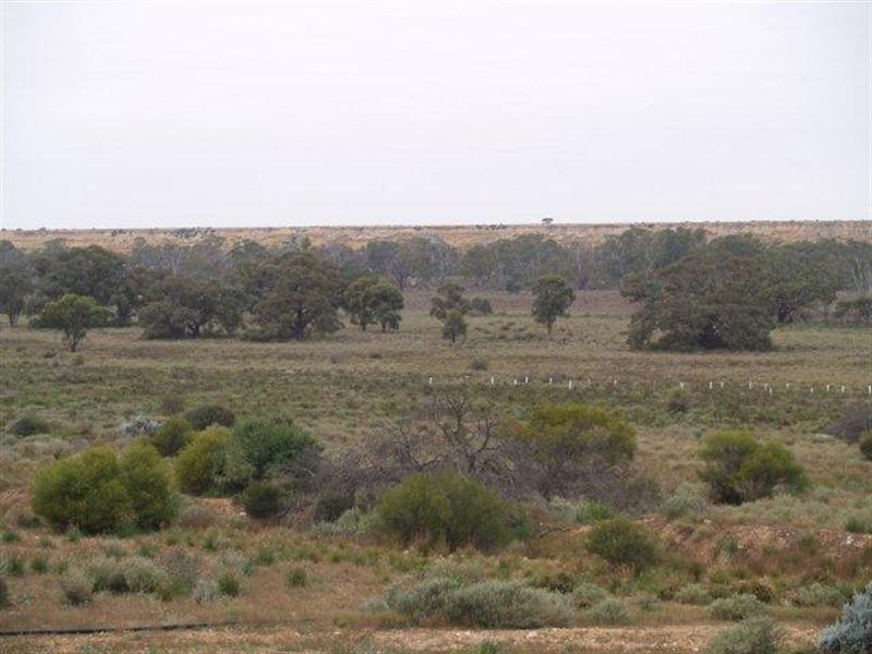 3919 Murraylands Road, Blanchetown SA 5357