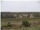 3919 Murraylands Road, Blanchetown SA 5357