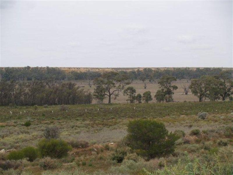 3919 Murraylands Road, Blanchetown SA 5357
