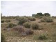 3919 Murraylands Road, Blanchetown SA 5357
