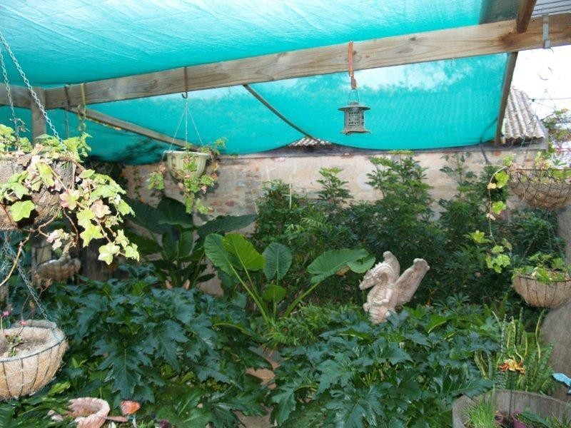 23 Henderson Street, Waikerie SA 5330