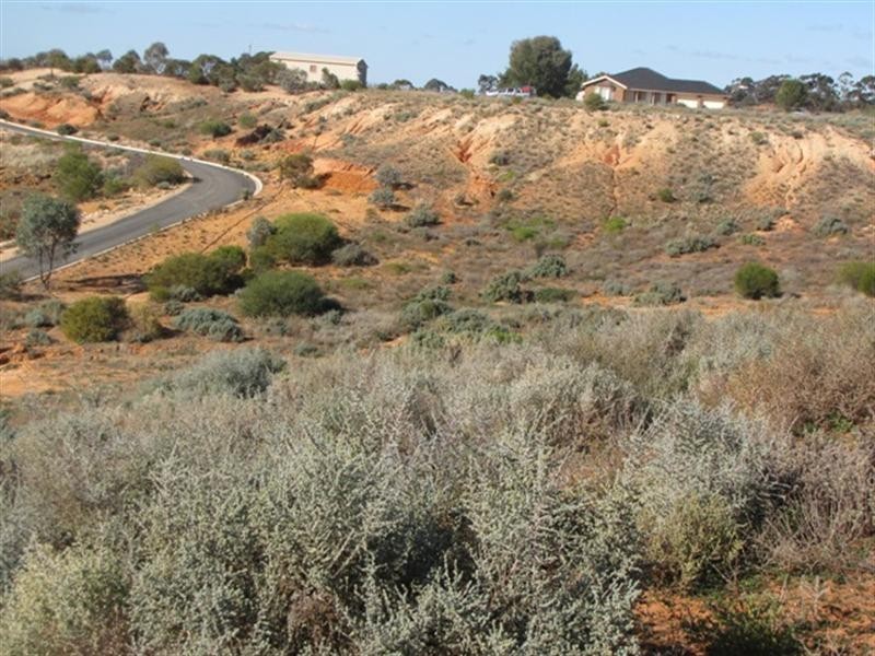 24 Rover Crescent, Paringa SA 5340