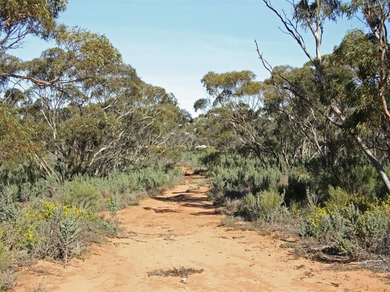 2966 Taplan Road, Taplan SA 5333