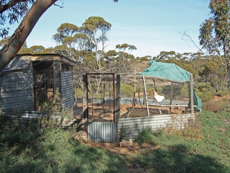 2966 Taplan Road, Taplan SA 5333