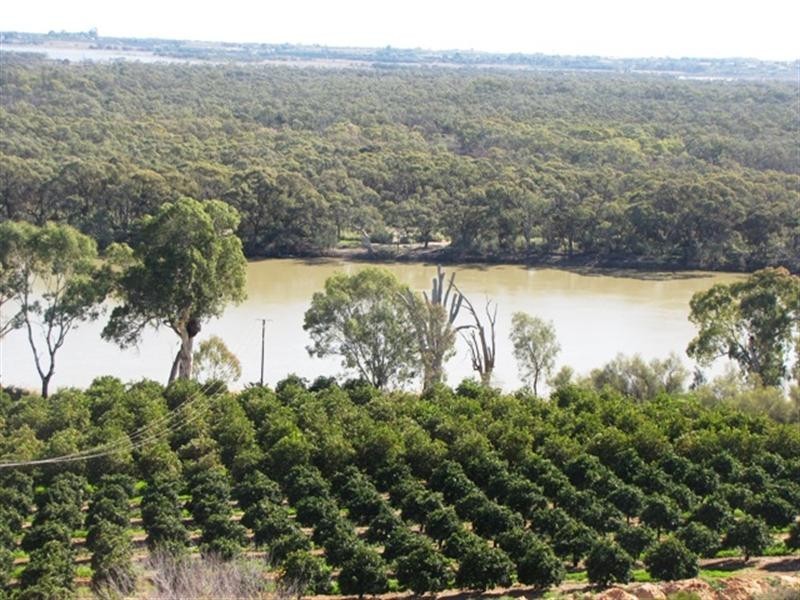 82 Nitschke Road, Loxton SA 5333