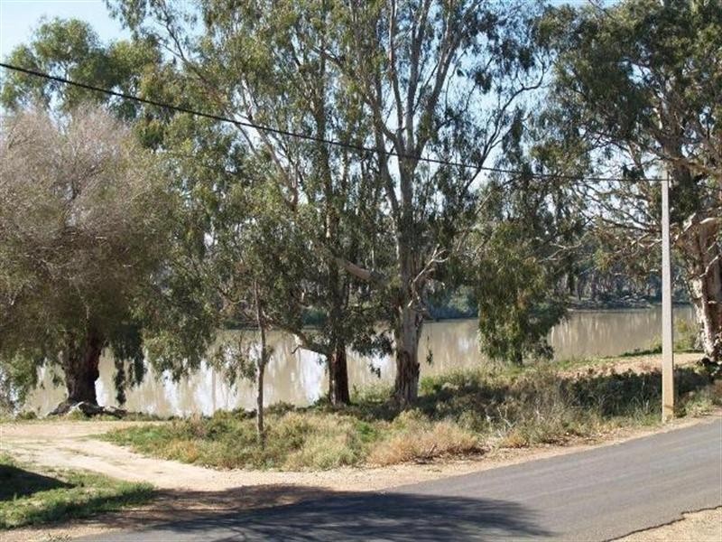 10 McPhee Avenue, Blanchetown SA 5357