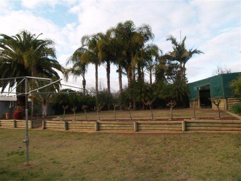 140 Virgo Road, Waikerie SA 5330