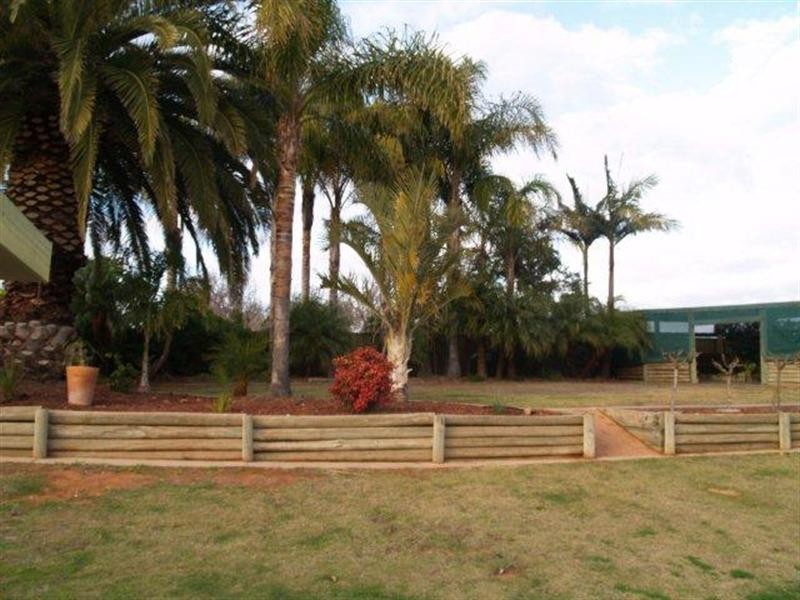 140 Virgo Road, Waikerie SA 5330