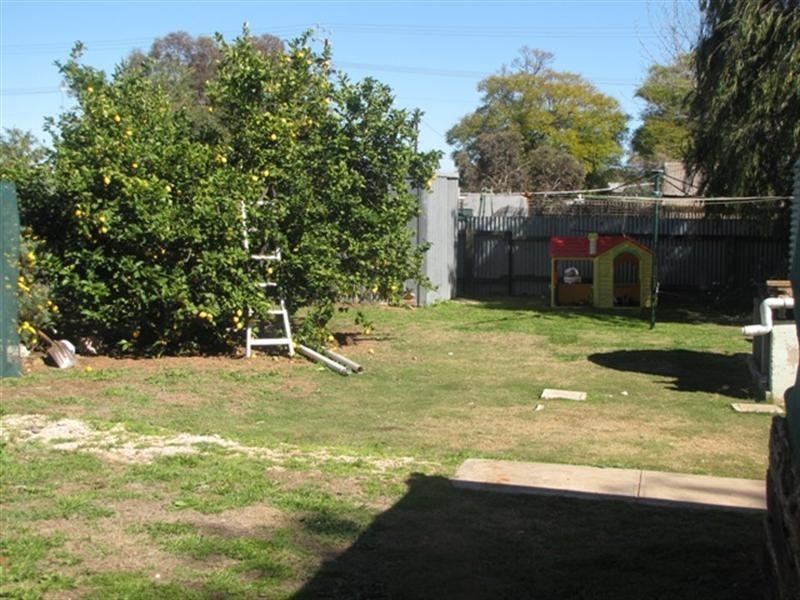 4 Betty Street, Loxton SA 5333