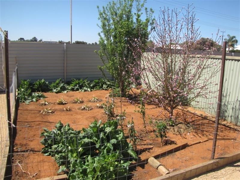 33 Barker Street, Loxton SA 5333