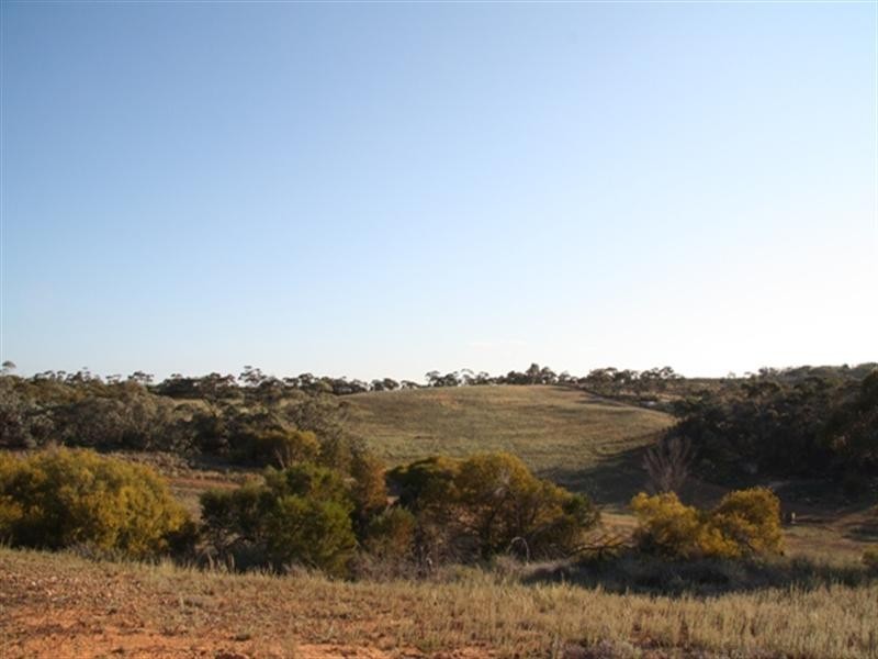 Lt 78/Lt 79 Kingston Road, Loxton SA 5333