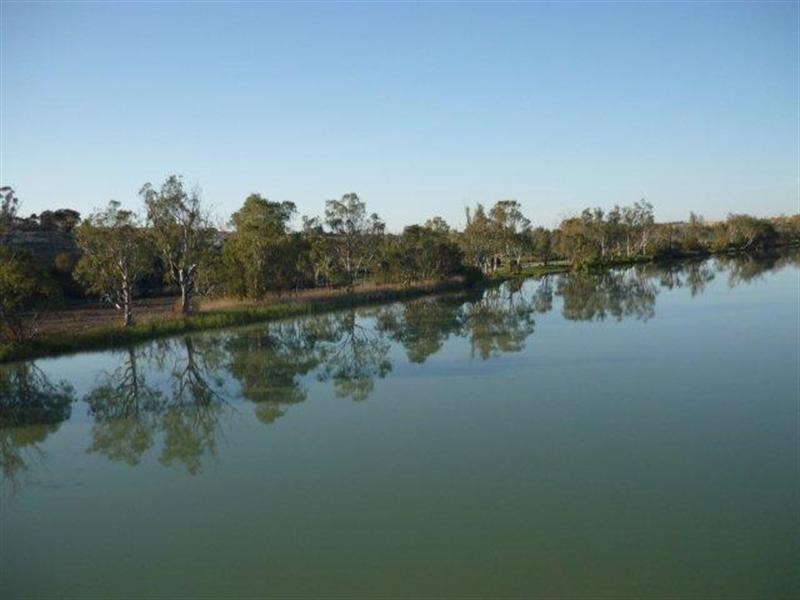 RIVER PALMS CARAVAN Park, Blanchetown SA 5357