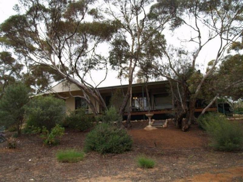 671 Mackintosh Road, Cadell SA 5321