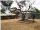 671 Mackintosh Road, Cadell SA 5321