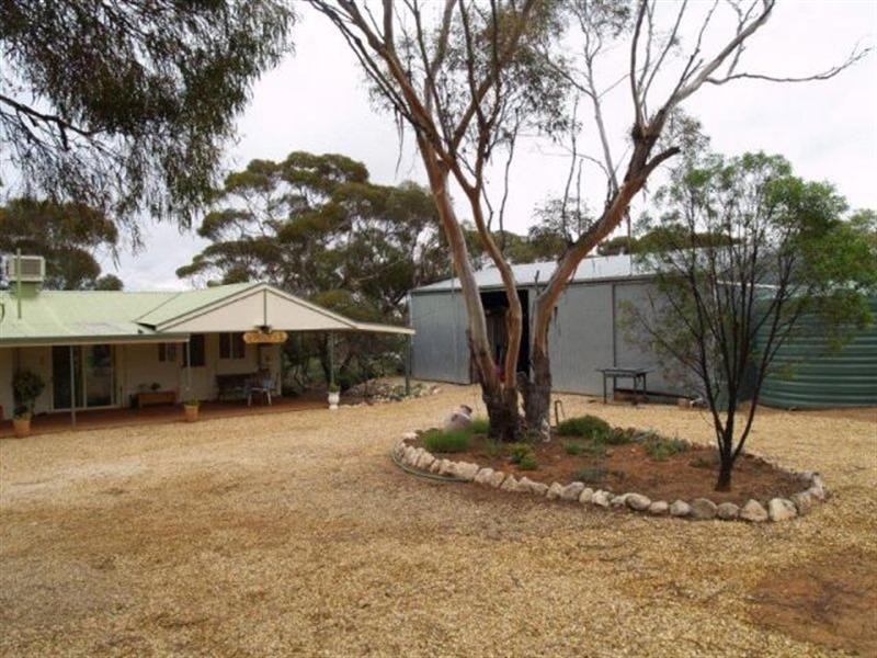 671 Mackintosh Road, Cadell SA 5321