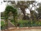 671 Mackintosh Road, Cadell SA 5321