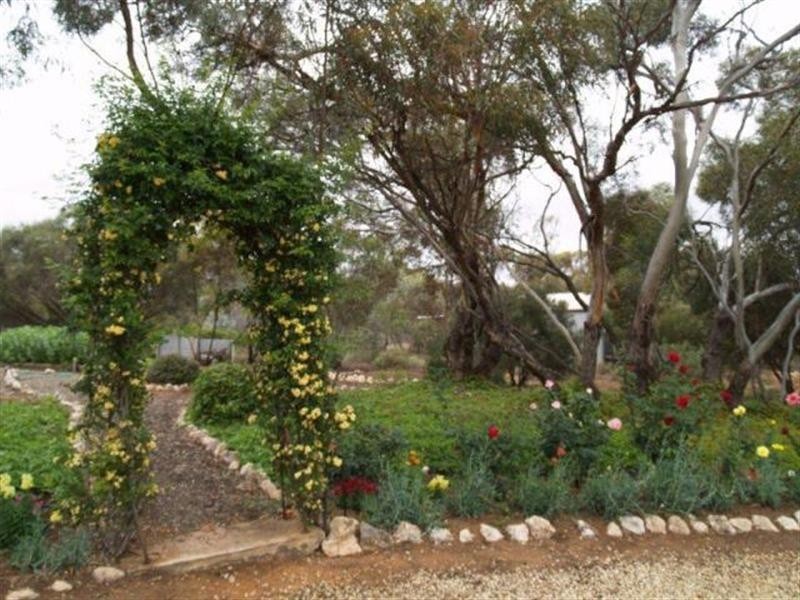 671 Mackintosh Road, Cadell SA 5321