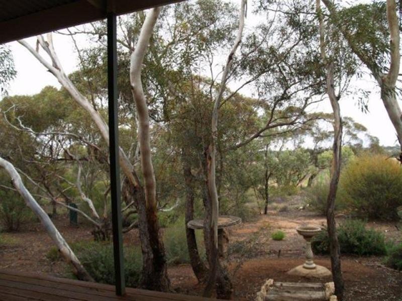 671 Mackintosh Road, Cadell SA 5321