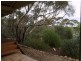 671 Mackintosh Road, Cadell SA 5321