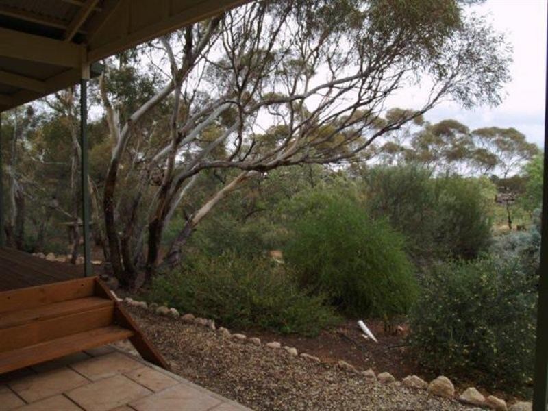 671 Mackintosh Road, Cadell SA 5321