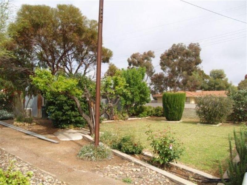 16 Eighth Street, Morgan SA 5320