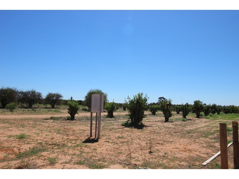 Lot 167 Jock Barrett Road, Waikerie SA 5330
