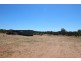 Lot 167 Jock Barrett Road, Waikerie SA 5330