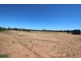 Lot 167 Jock Barrett Road, Waikerie SA 5330